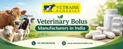 Veterinary Bolus Manufacturers in India