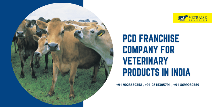 PCD Franchise Company for Veterinary Products in India