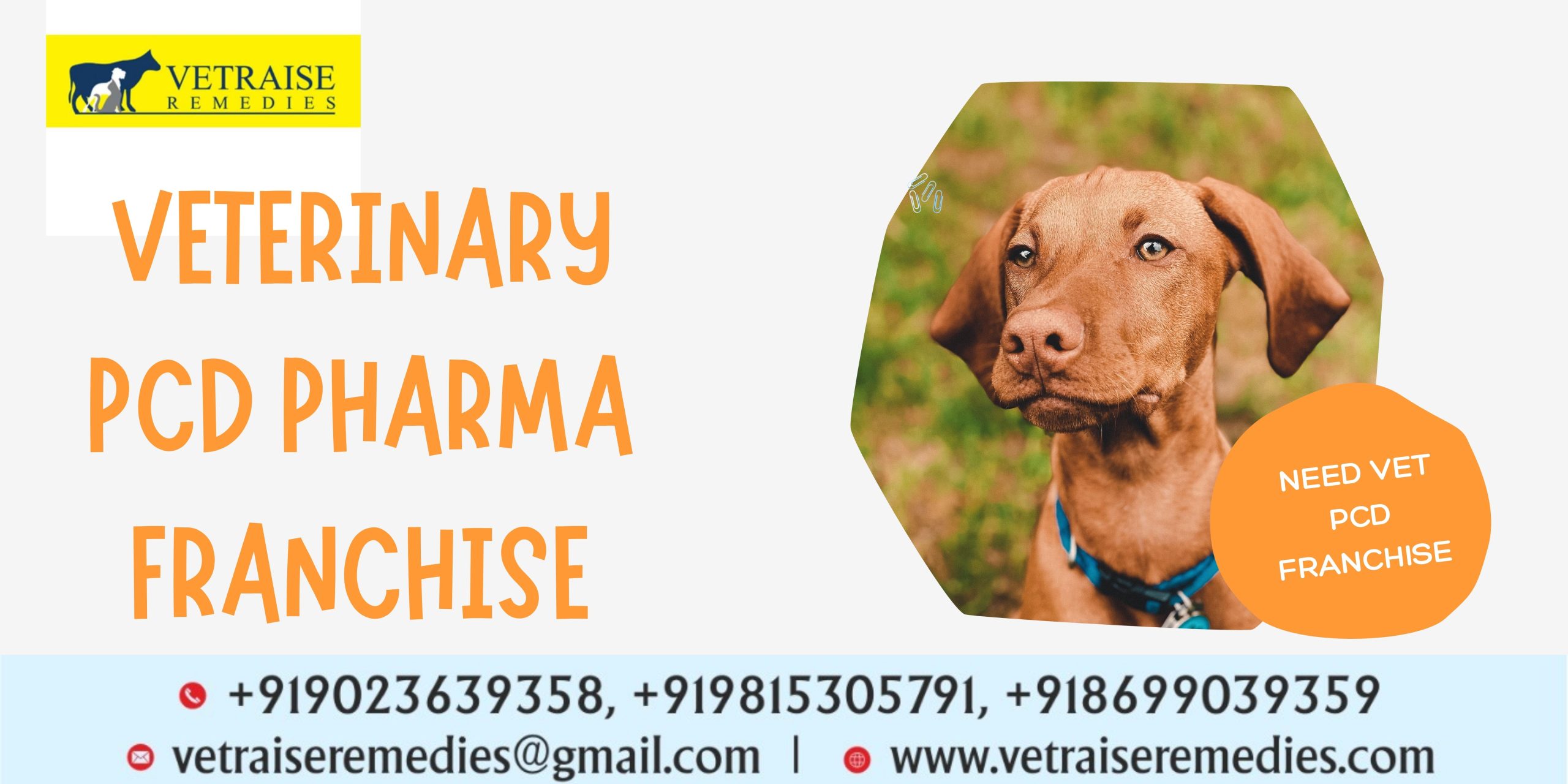 Veterinary Monopoly Company India Veterinary Monopoly Company India