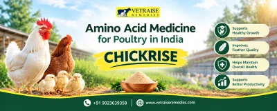 Amino acid medicine for poultry in india (CHICKRISE)