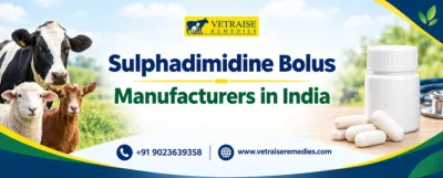 Sulphadimidine Bolus Manufacturers in India