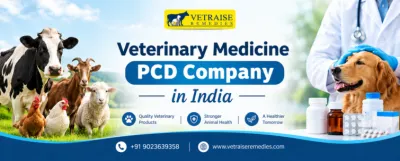 Veterinary medicine pcd company in india
